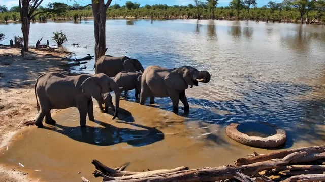 クワイ・プライベート・リザーブ