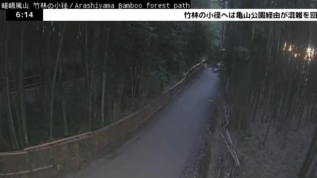 京都・嵯峨嵐山 竹林の小径