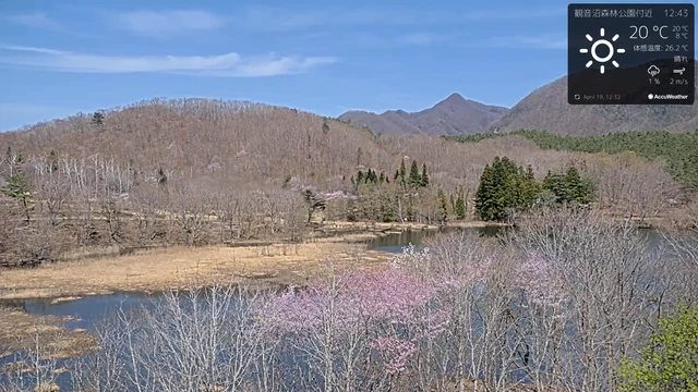 観音沼森林公園