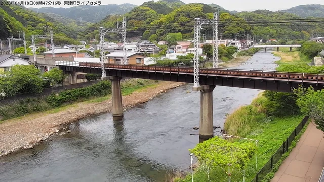 河津町の河津桜
