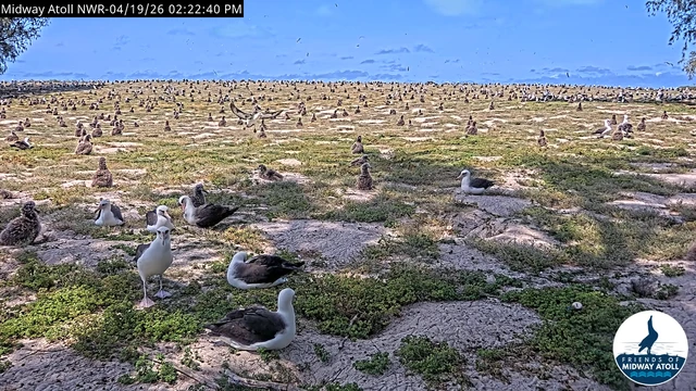 ミッドウェー島