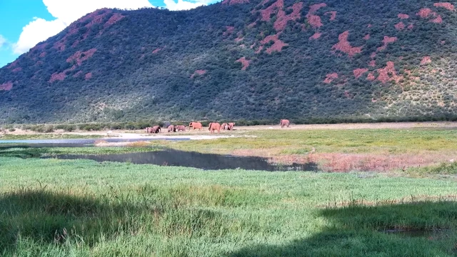 マディクウェ・ゲーム保護区