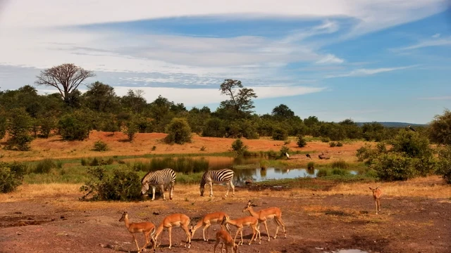 ザンベッチ国立公園